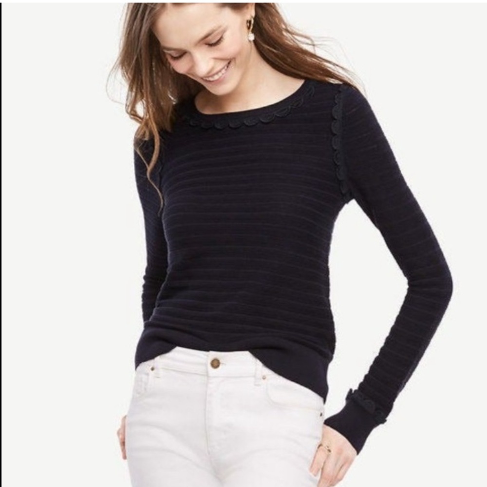 Ann Taylor Sweater